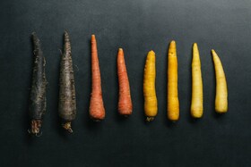 Korenčki različnih barv